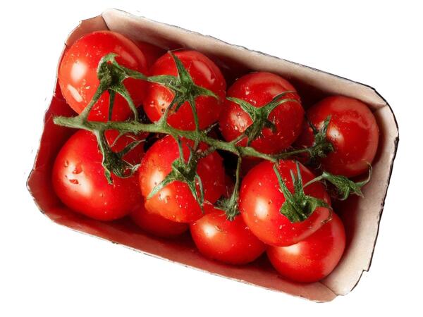 Cocktailstrauchtomaten aus Österreich