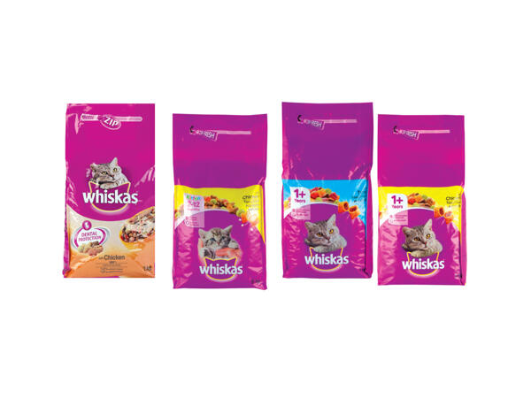 Complete Cat Food