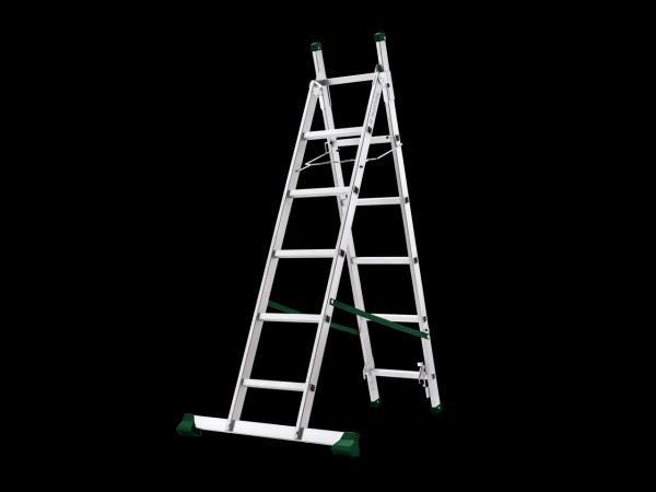 Multi-purpose ladder