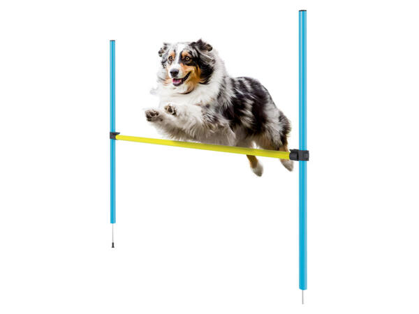 zoofari(R) Potřeby pro agility