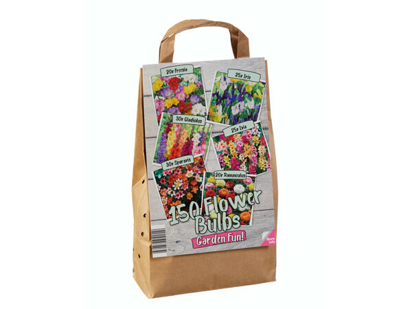 Bulbes à fleurs dans un sac en papier