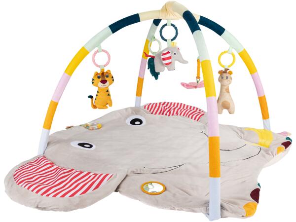 Activity Center