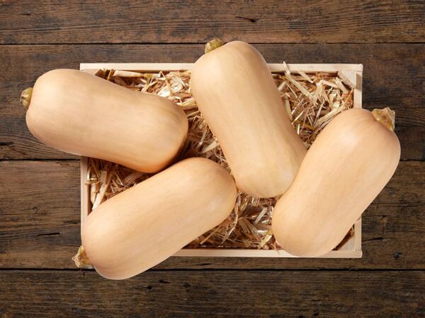 Zucca butternut
