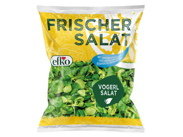 Efko Vogerlsalat