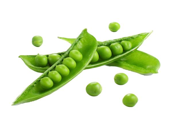 XXL Sugar Snap Peas