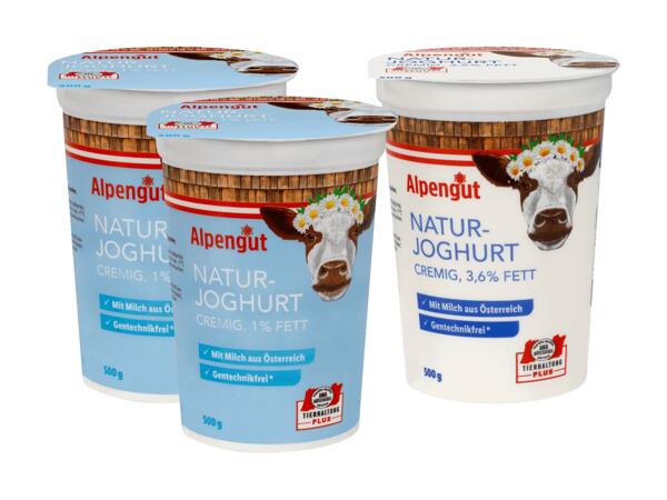 Naturjoghurt