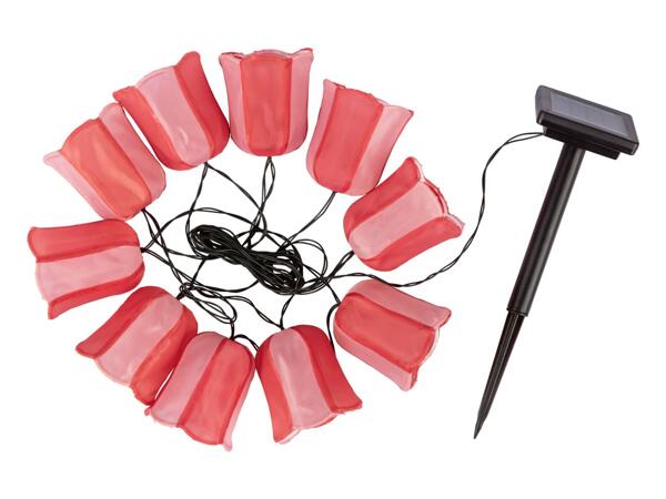 Livarno LED Solar Summer String Lights