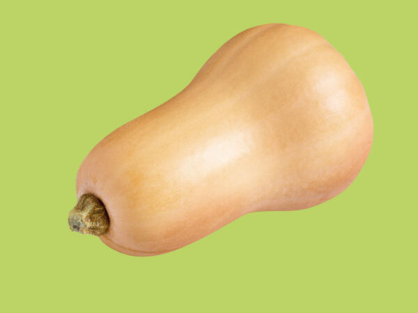Butternut Squash