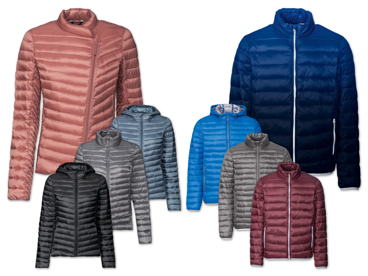 ESMARA(R)/LIVERGY(R) Damen/Herren Thermo-Lightjacke1