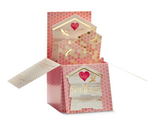 Pembrook 
 Pop-Up Valentine's Day Card