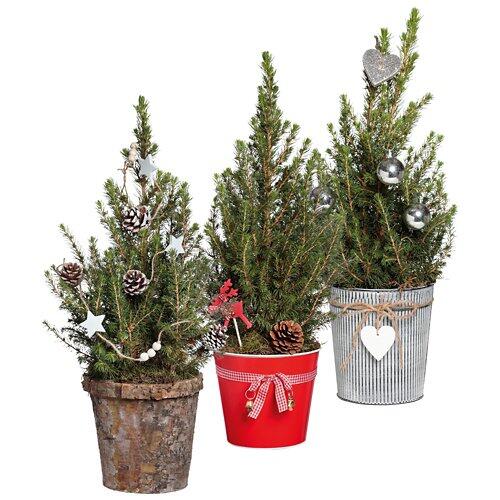 Petit sapin de Noël décoré