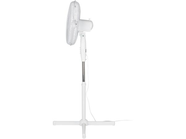 Pedestal Fan