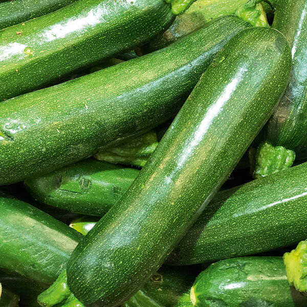 Bio-Zucchini