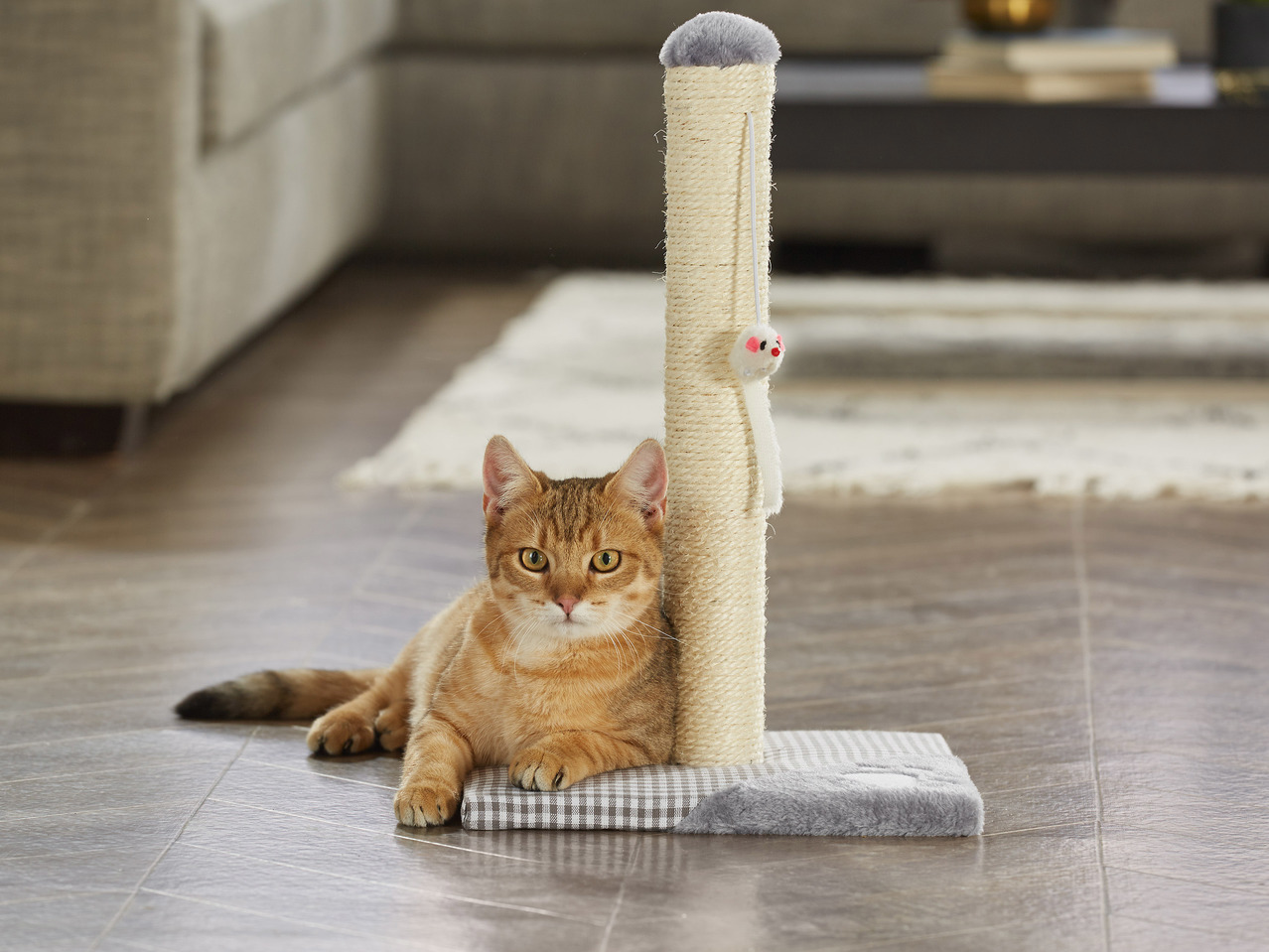 Cat Scratching Roller/Post/Board