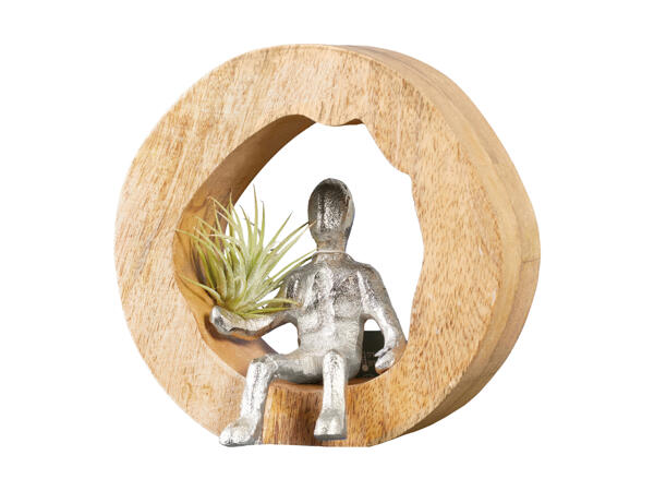 Tillandsia dans un tronc de bois