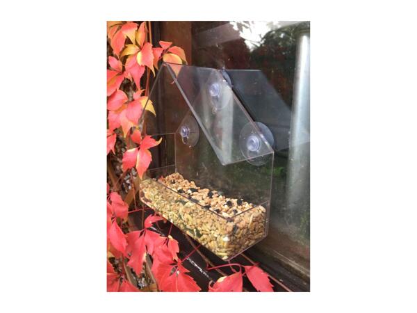 Oakdale Window Bird Feeder