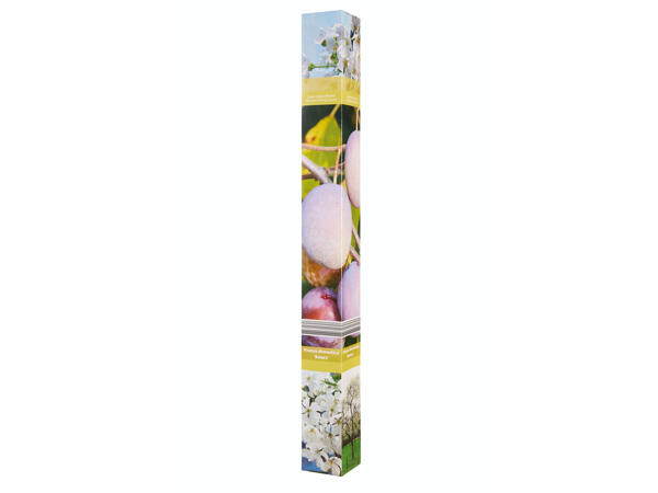 Arbres fruitiers