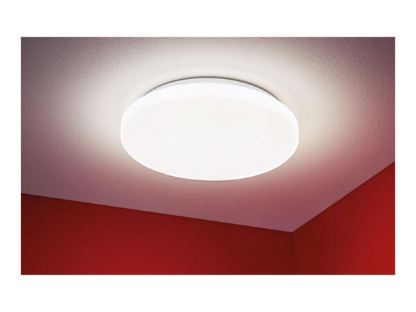 Ceiling Light