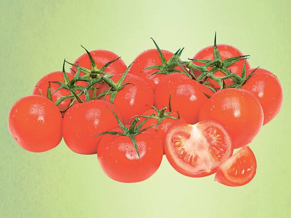 Strauchtomaten