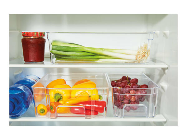 Ernesto Fridge Organiser
