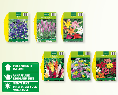 Bulbi di fiori GARDENLINE(R)