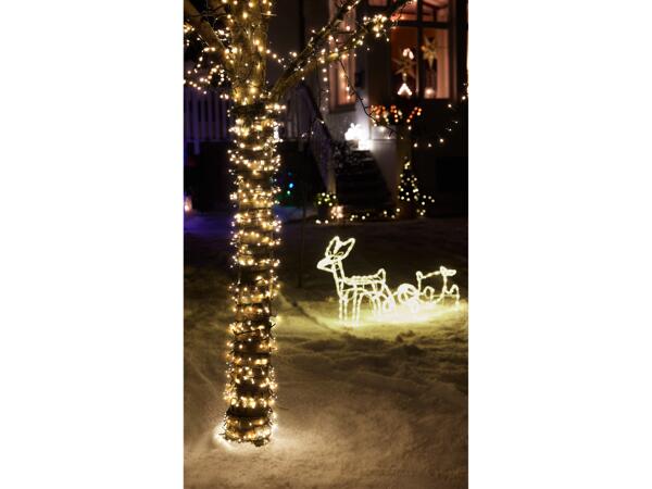 LED Fairy Lights