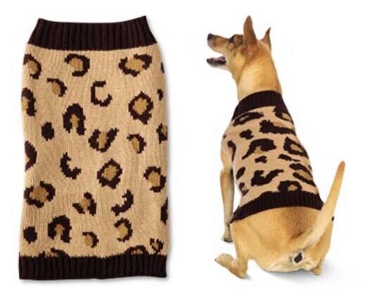 Heart to Tail 
 Pet Sweater