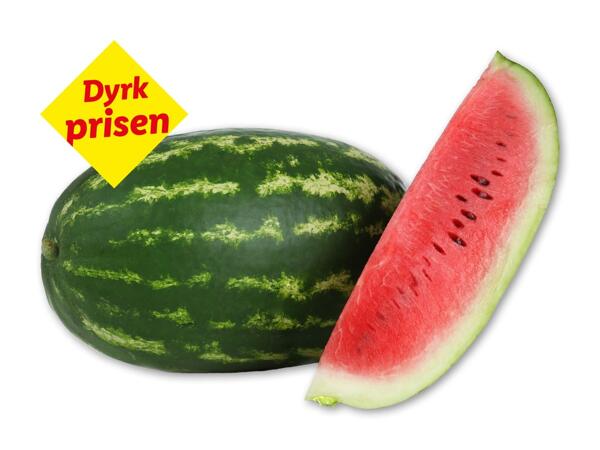 Dumara vandmelon XXL