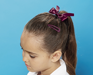 ZAGZ ASSORTED SCHOOL HAIR ACCESSORIES