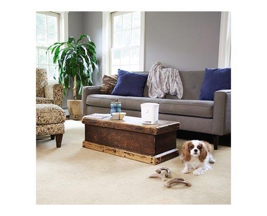 Febreze
Odor Grab Air Cleaner