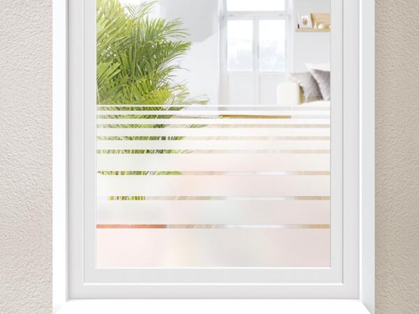 Fenster-Schutzfolie