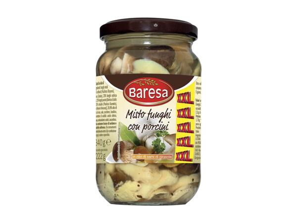 Mushroom mix with Porcini Mushrooms