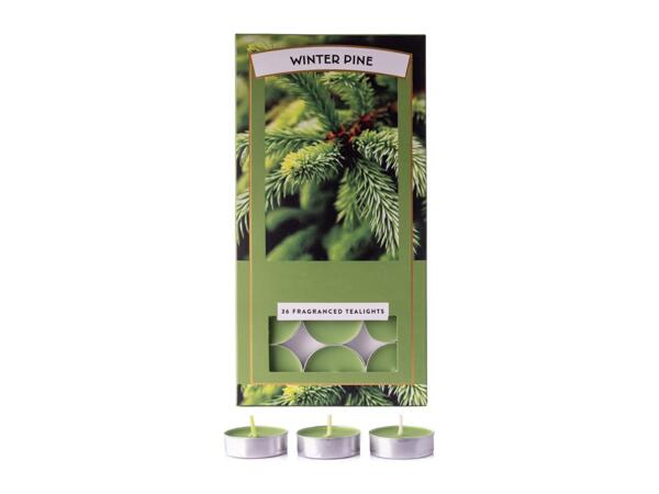 Winter Pine Scented Tealights - 36 Pack