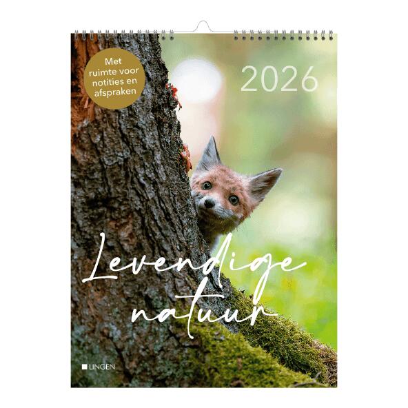 Decoratieve kalender