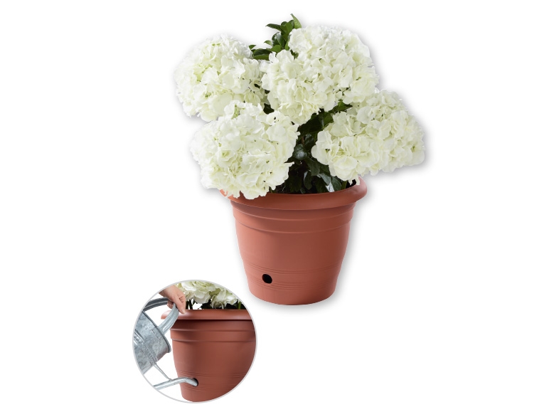 FLORABEST 40cm Plant Pot