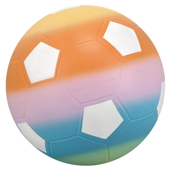 Crane Soccer Rainbow Sports Ball
