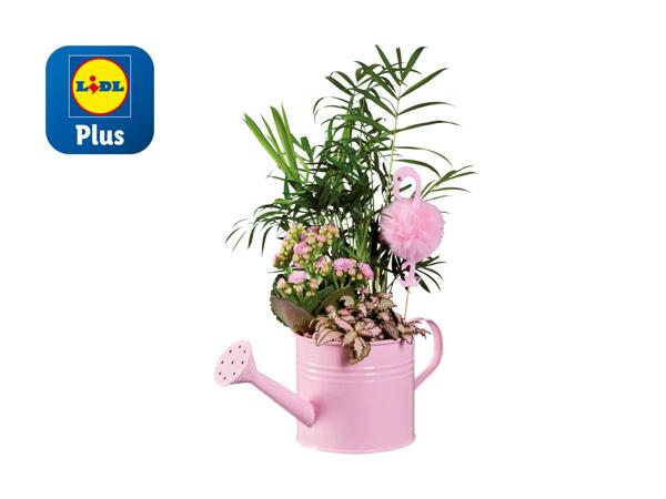 Arrangement "flamant rose" dans un arrosoir