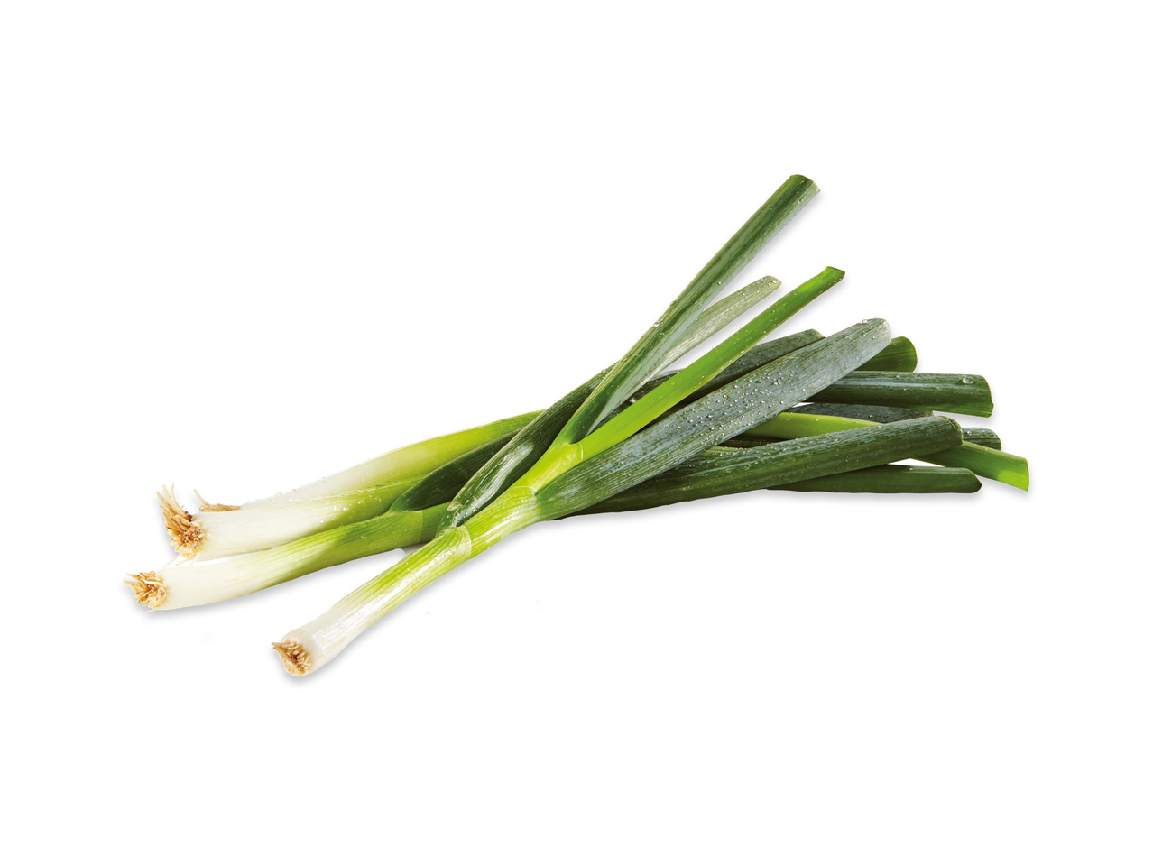 SALLADSLÖK I KNIPPE