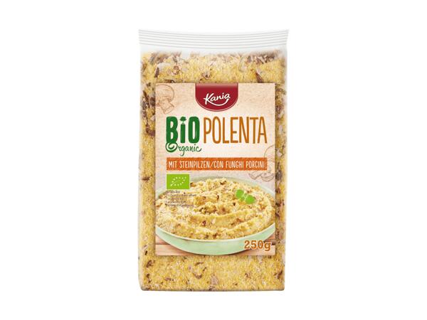 Couscous/risotto/polenta bio