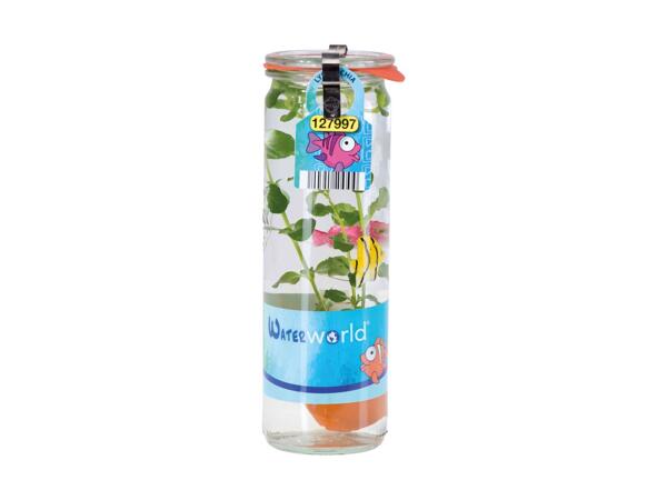 Akvariumplante i glas