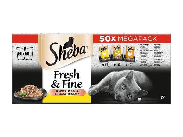 Katzennassnahrung Megapack