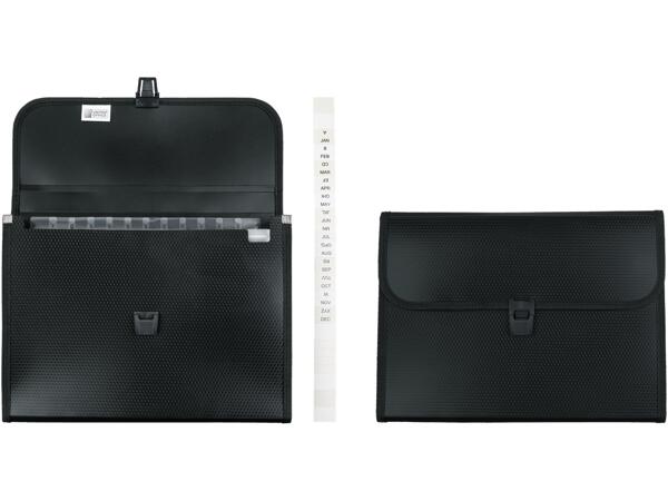 Organiser Files