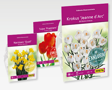 Bulbes à fleurs exclusifs GARDENLINE(R)
