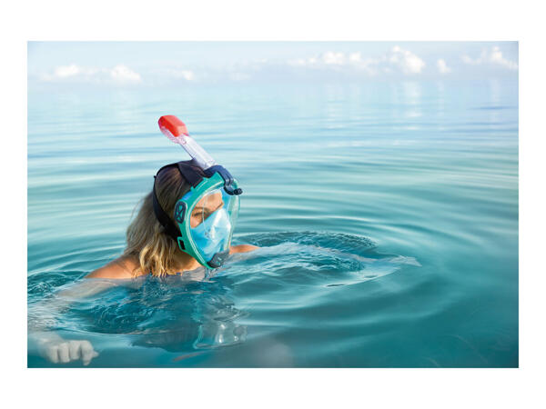 Crivit Snorkel Mask