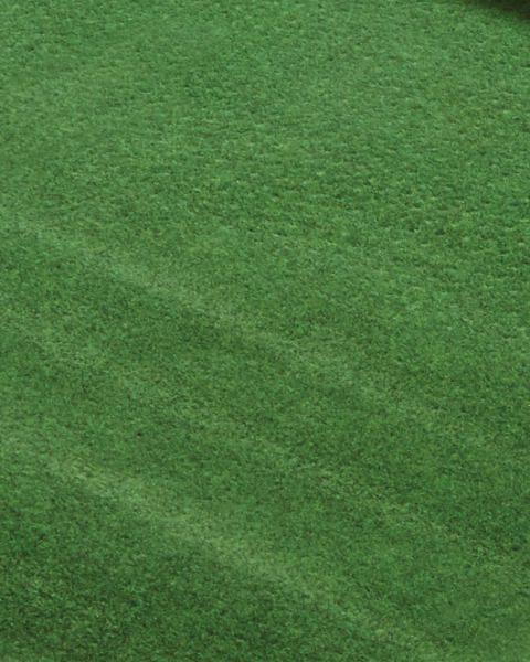 Artificial Grass Carpet