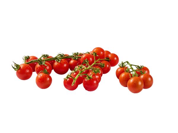 Cherry Tomatoes XXL
