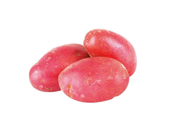 Irish Rooster Potatoes