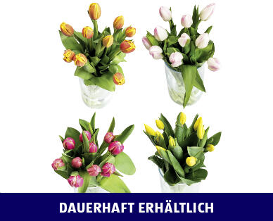 TULPEN
