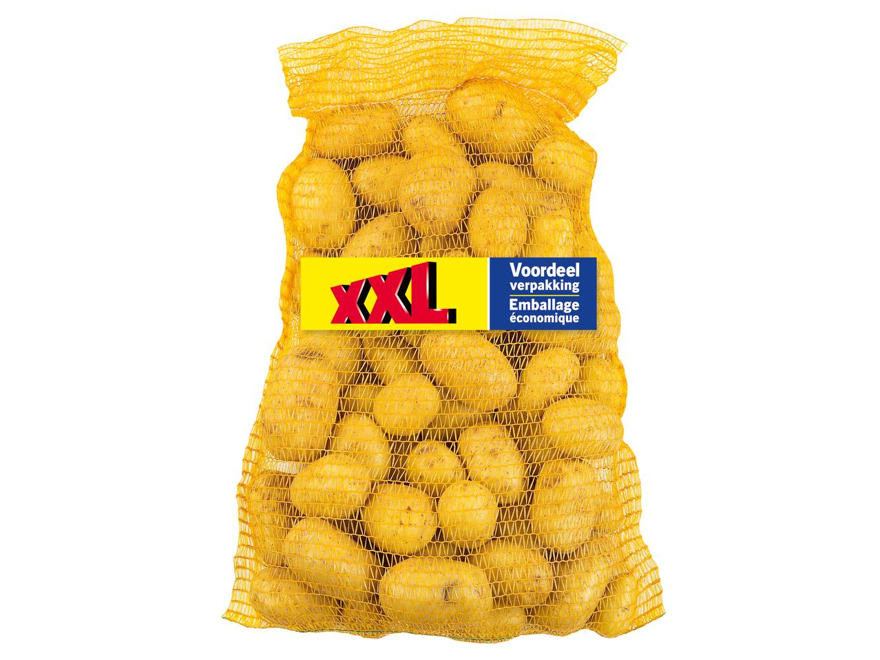 Aardappelen XXL