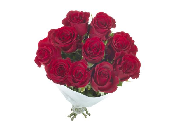 Bunch of Roses